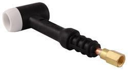 Toortslichaam (TIG WK17)